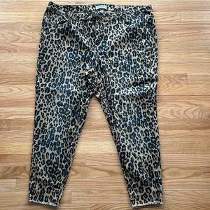 Lane Bryant leopard print pants